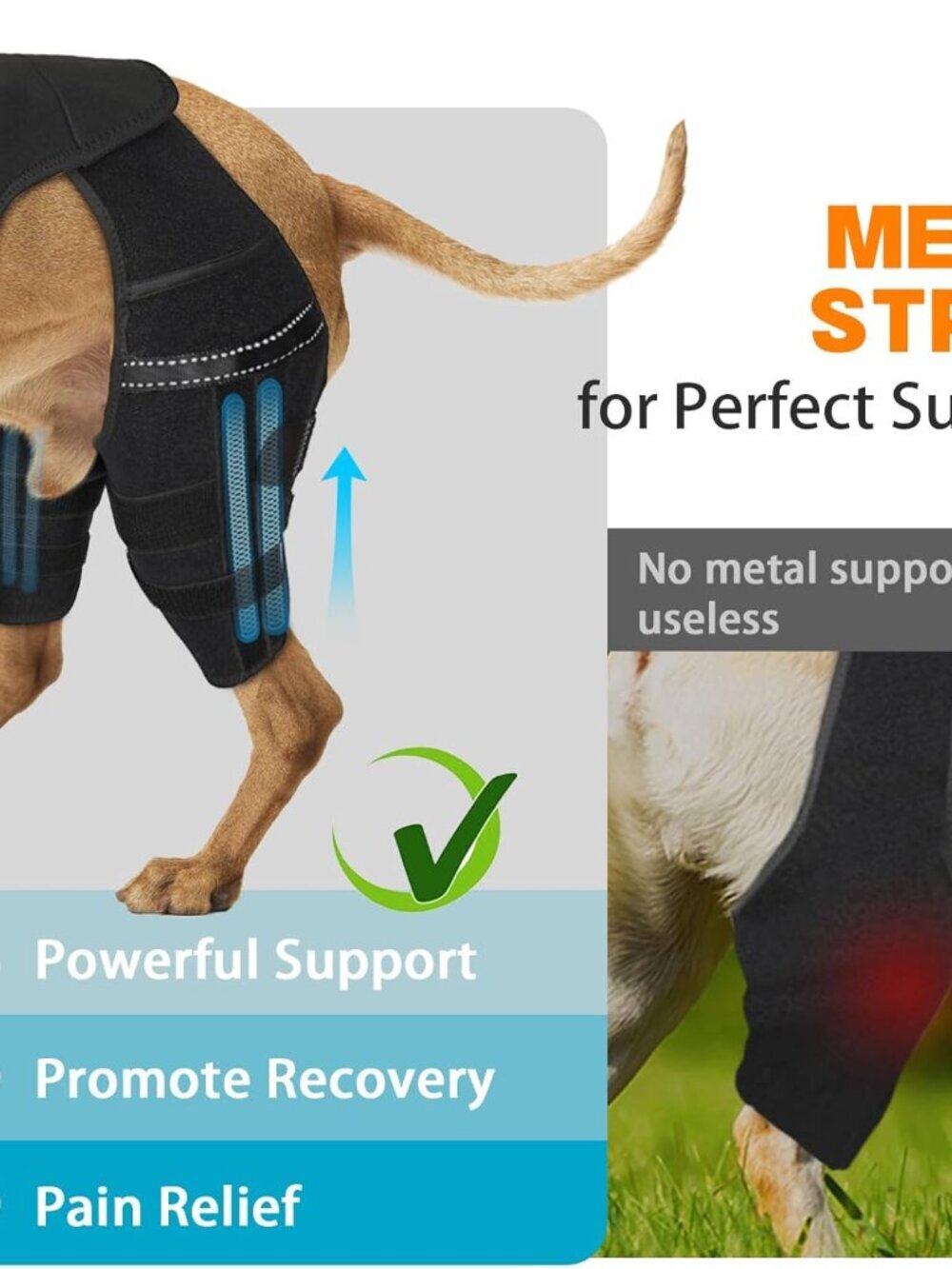 Dog Knee Brace for Torn Acl Hind Leg, 4 Stabilizers